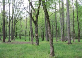 Adams Road, Jefferson, GA ~lot for sale