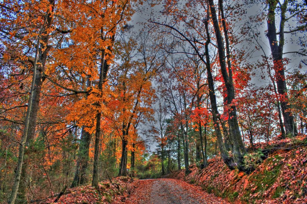 Country Road HDR