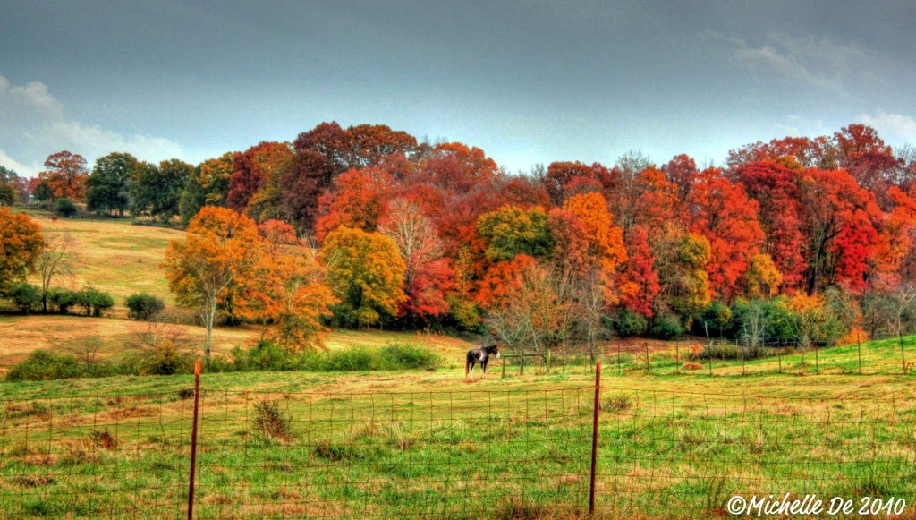 Horse & Fall Colors Franklin County 2010